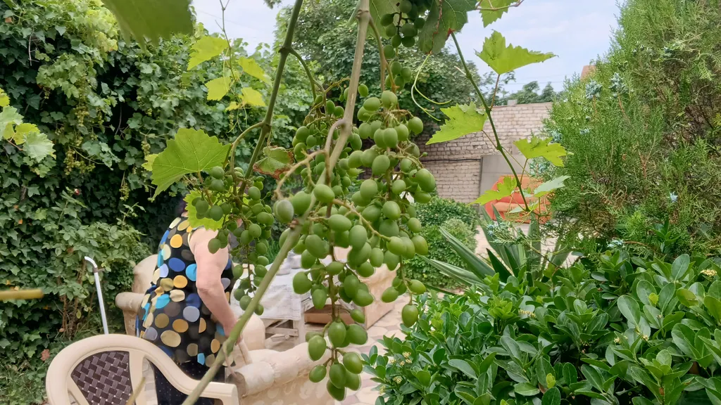 Студия в гостевом доме Каспий, близ смотровой площадки