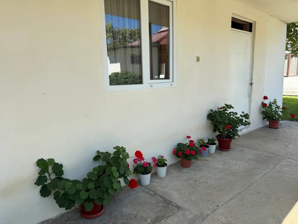 Уютные номера в городе Гудаута