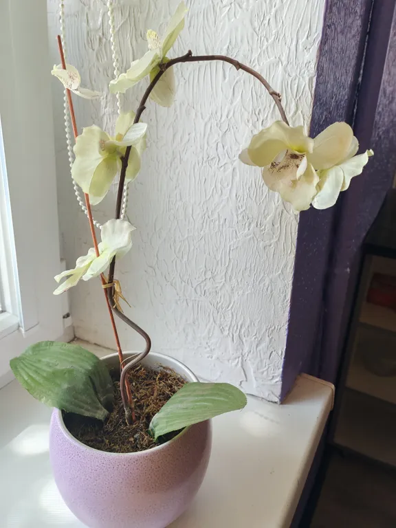 Апартамент в тихом центре возле Советской