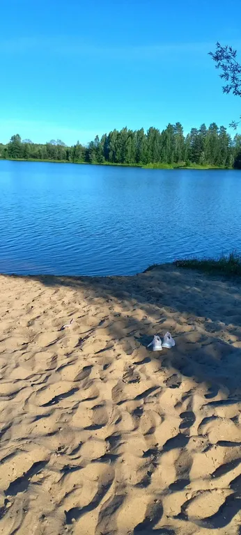 Дом из брёвен с русской баней и финской сауной 7 км от города