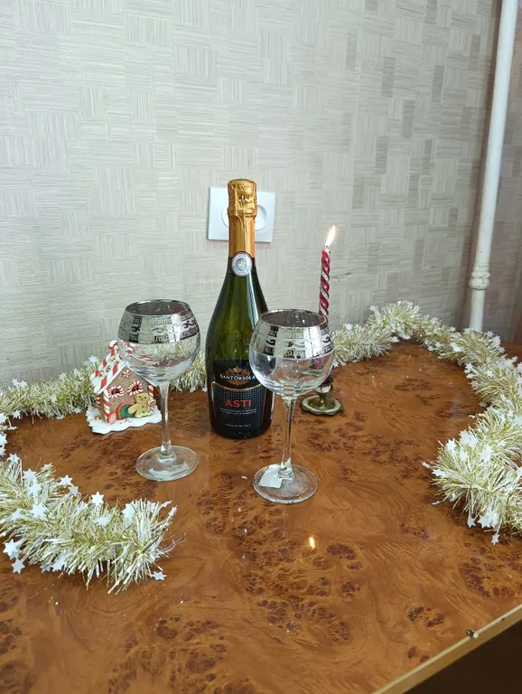 Апартаменты в гостях у Лилии