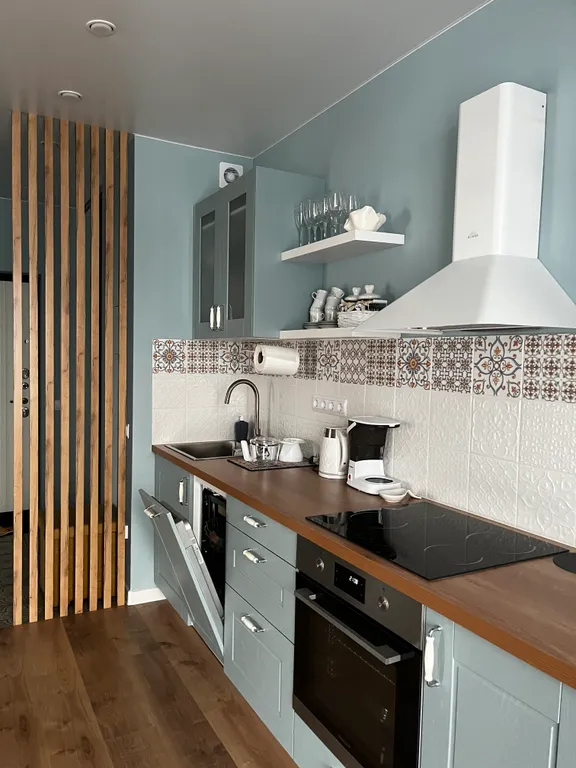 Видовые апартаменты Onego lakе