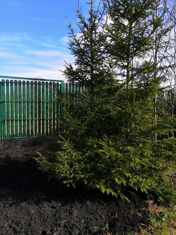 Уютный коттедж