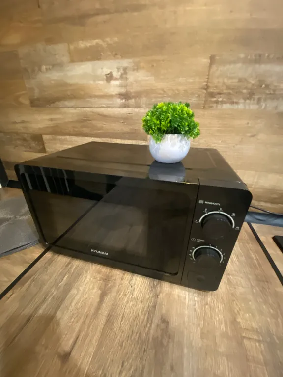 Отдых, о котором вы мечтали: студия в Пионерском у моря