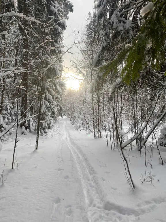 Уютный дом на Рузском водохранилище