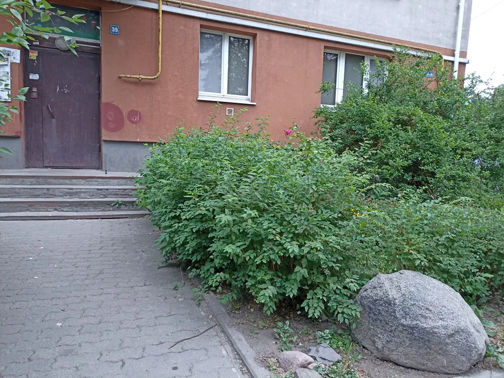 Квартира Квартира Двушка в центре, рядом музей янтаря и красивое Верхнее озеро, парковка — Калининград