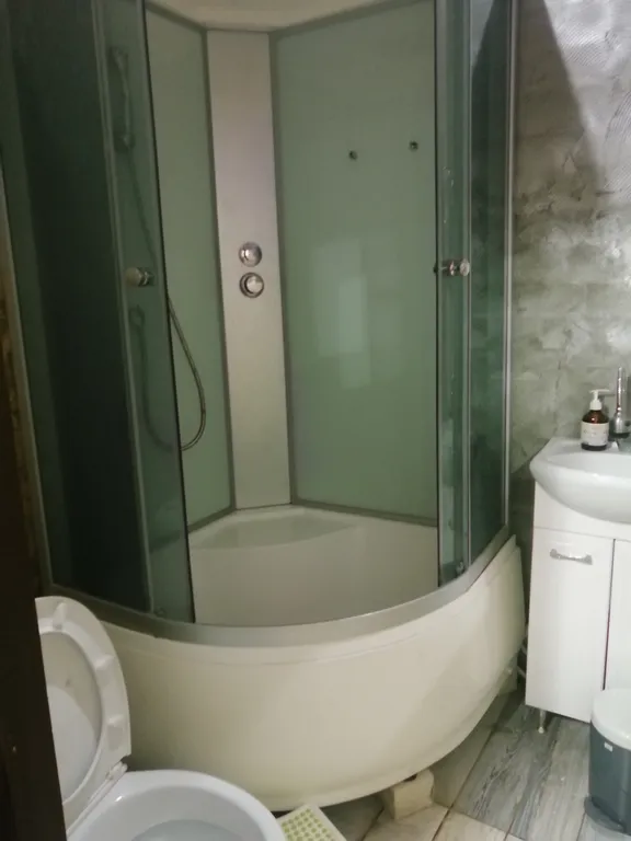 Дом с баней, бильярдом и бассейном