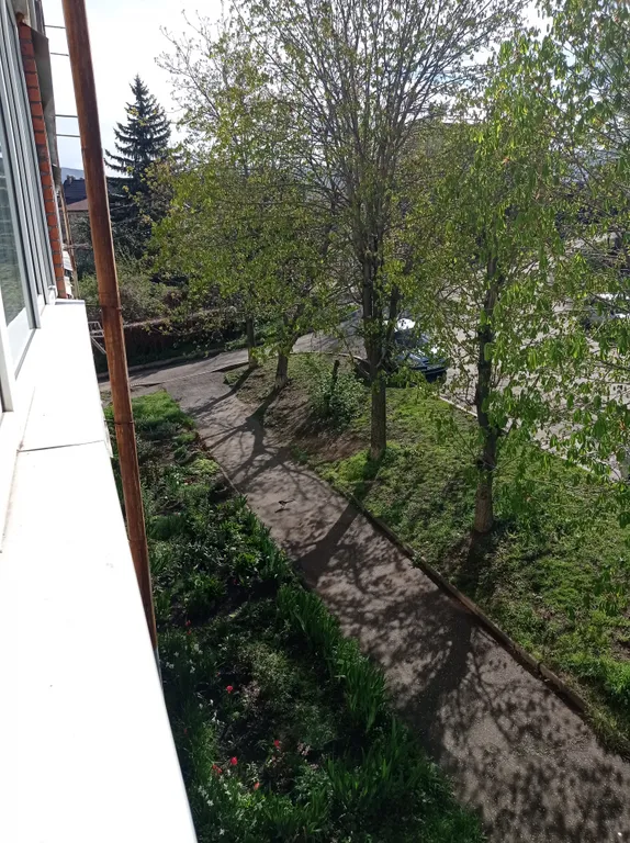 Квартира в центре