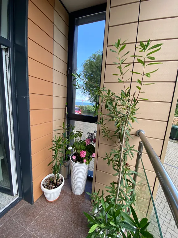 Фартуна первая линия