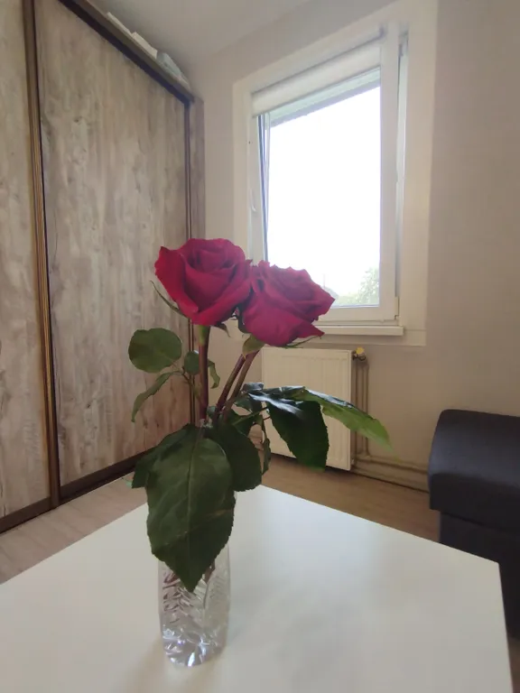 Маленький зеленый домик