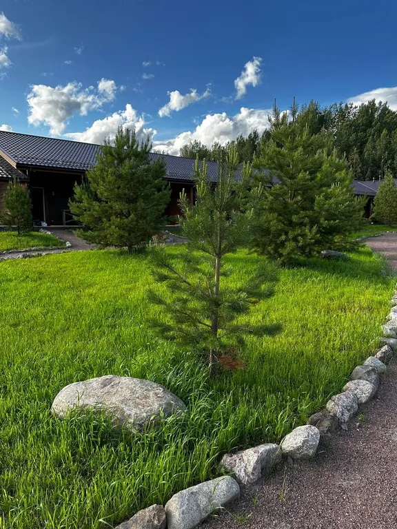 Квартира Комната — Светлое