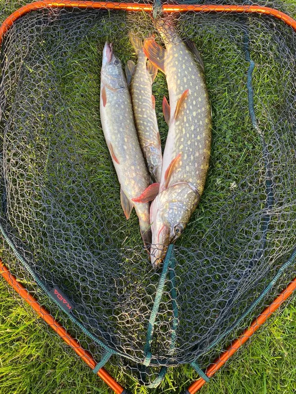 Дом с видом на сад