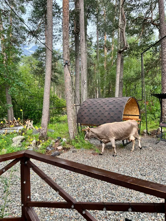 А-Frame домик с видом на гору Чегет