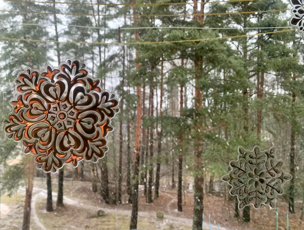 Квартира сосны