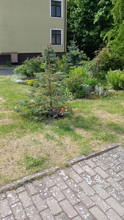 Квартира Супер-апартаменты Морской бриз на 1 линии у моря в сосновом бору — Светлогорск