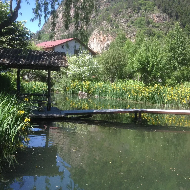 Коттедж Дом с баней и озером — Теберда