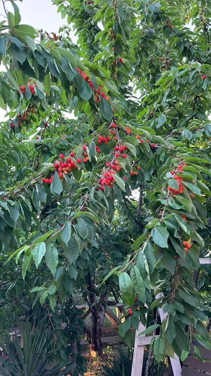 Тихий райский уголок