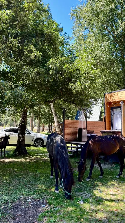 Вип шале на берегу реки, с банным чаном на террасе