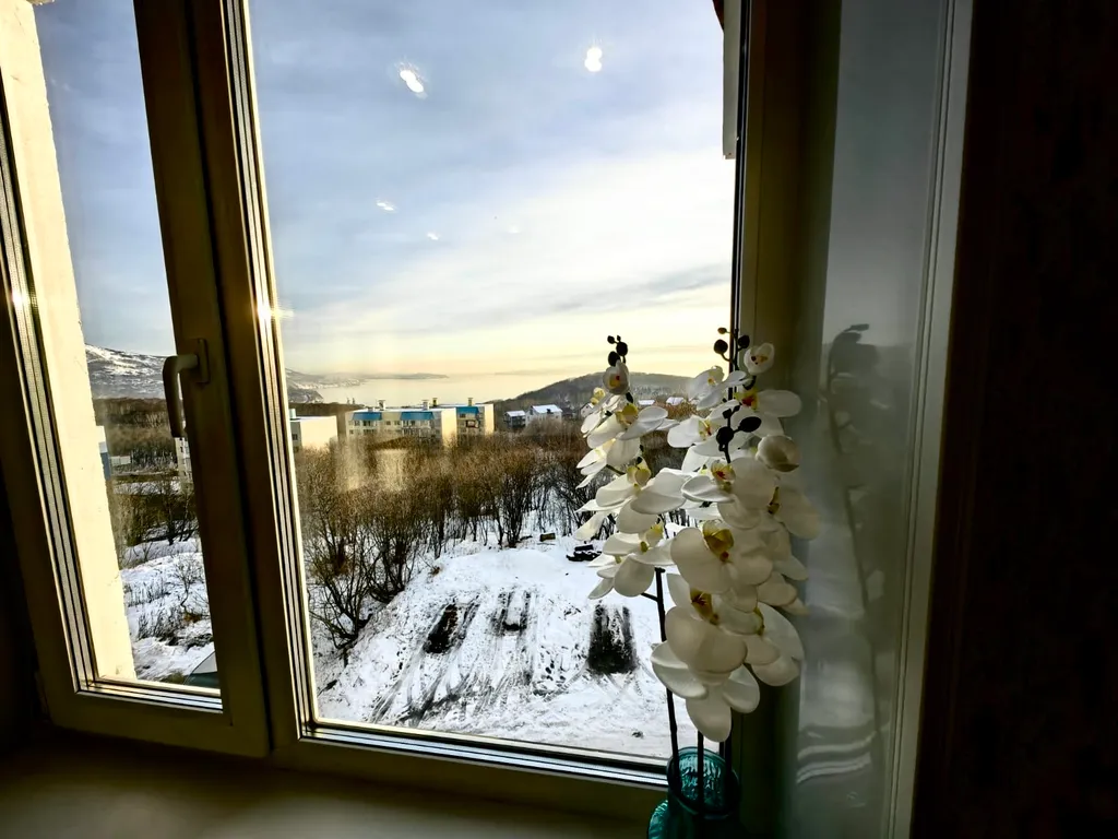 Видовая квартира бухта-вулканы