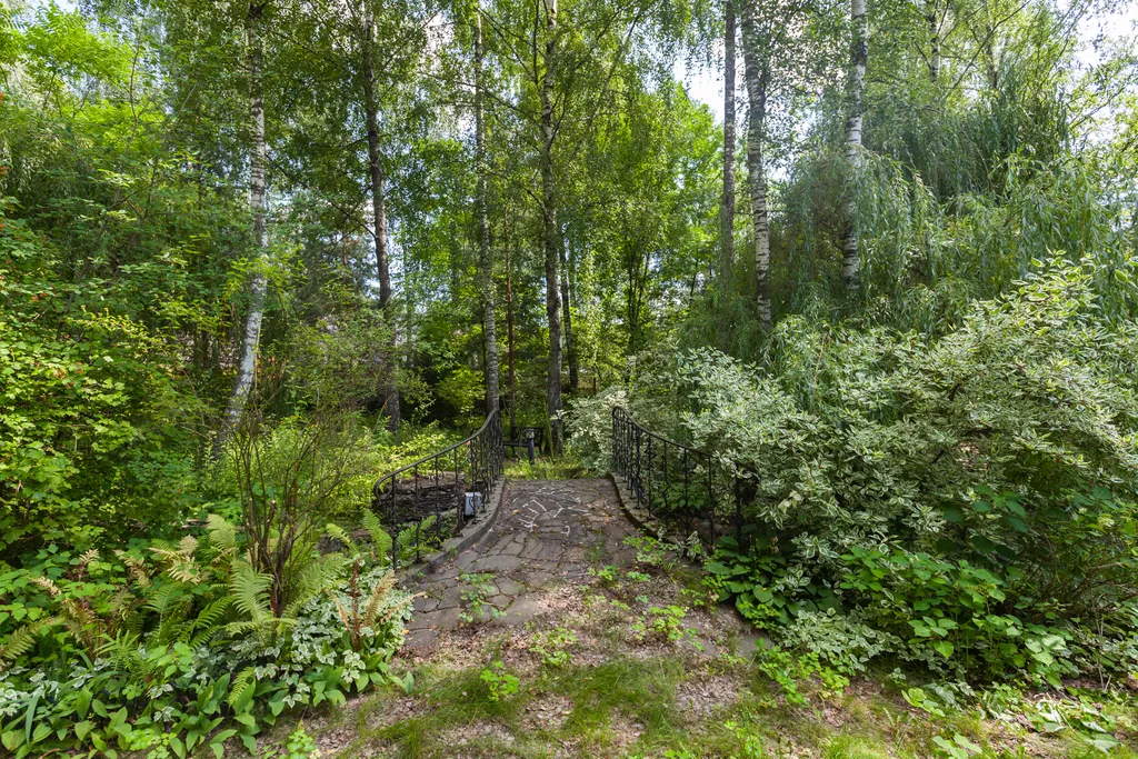 Загородный дом с бассейном, сауной и собственным лесом на участке