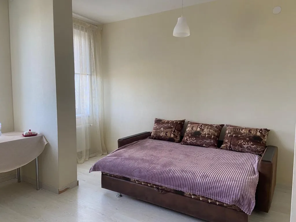 Студия с красивым видом из окна