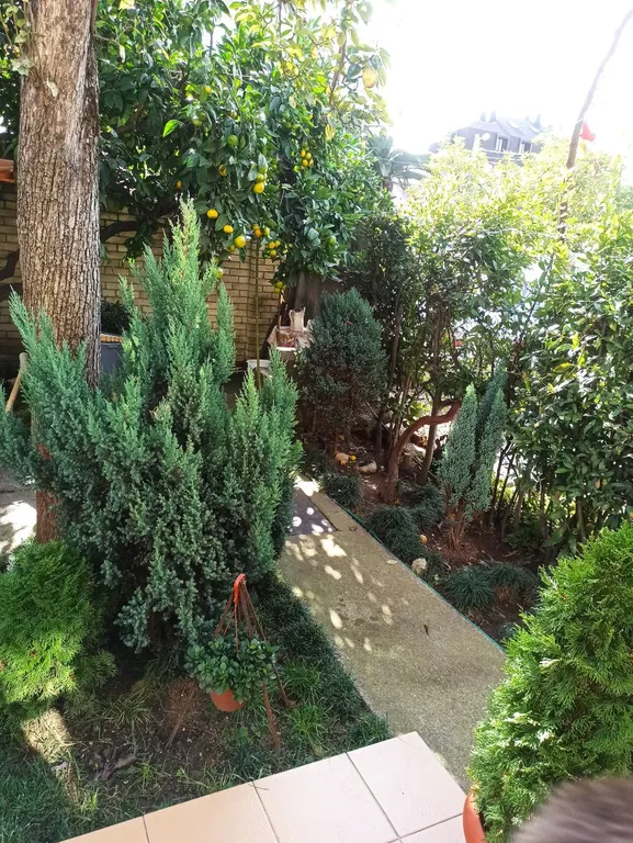 2-комнатный апартамент с кухней, ванной и всеми удобствами