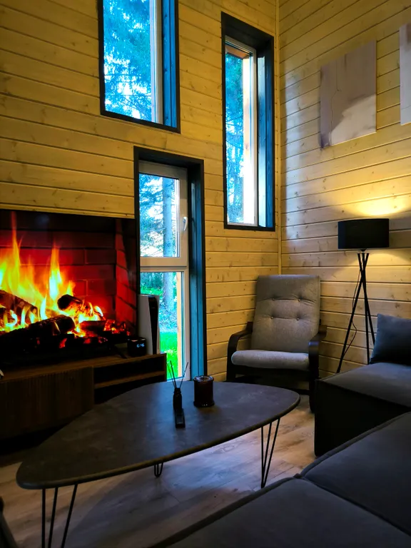 Стильный Барнхаус со вторым светом с видом на сосновый лес