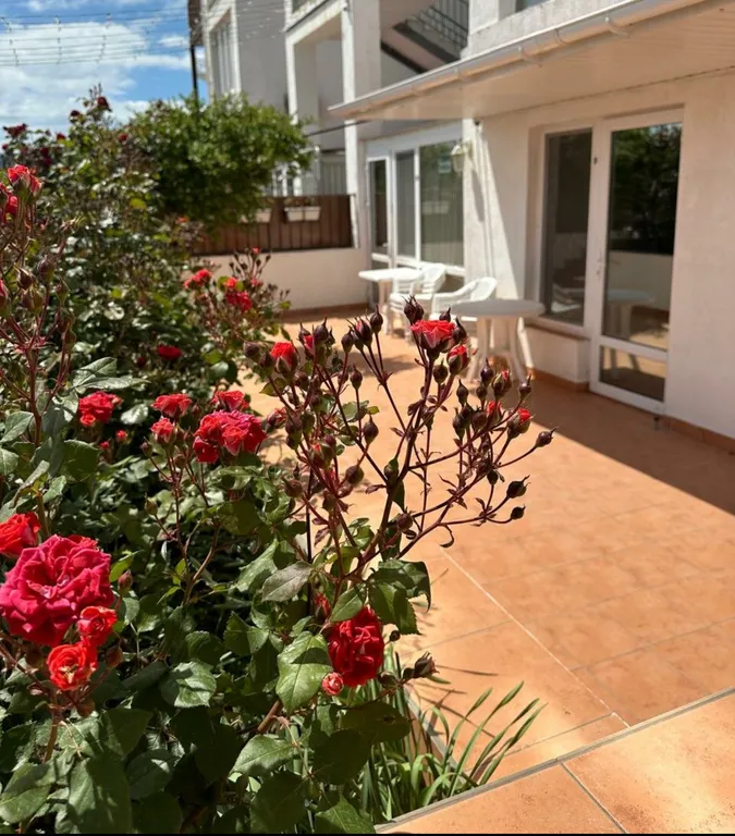 Апартаменты Море-Море 8