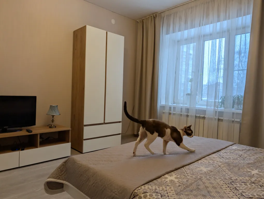 Квартира Просторная квартира в центре города с парковкой на территории — Ярославль