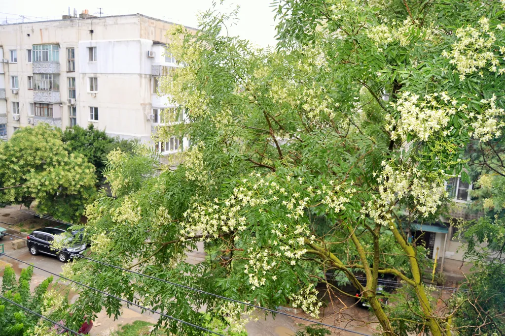 Уютная квартира в центре поселка