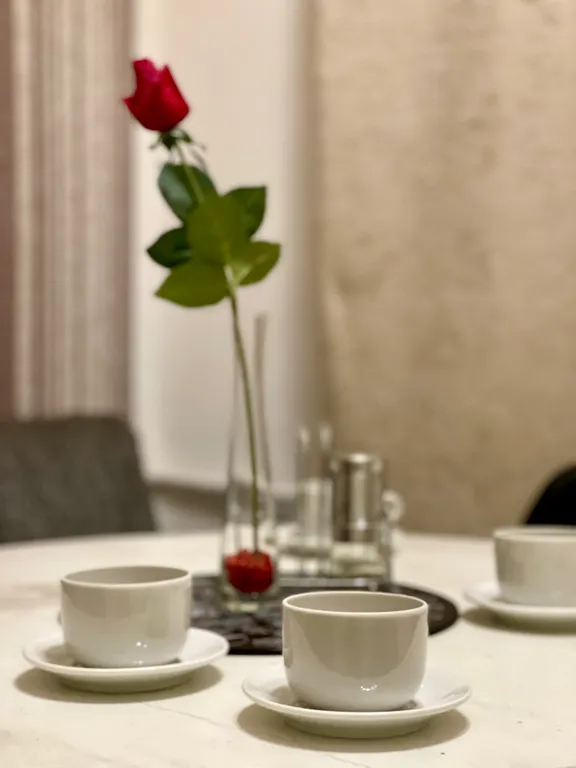 Квартира напротив Кристалл городской парк