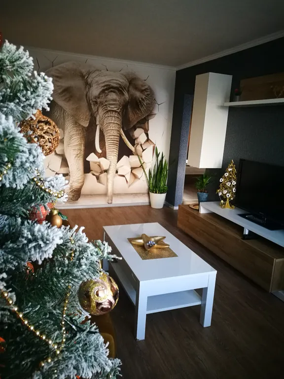 Квартира Квартира Большие тропики с камином, с видом на остров Канта и Рыбную деревню — Калининград