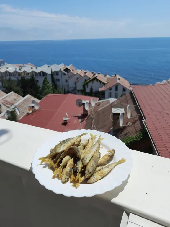 Апартаменты на берегу моря