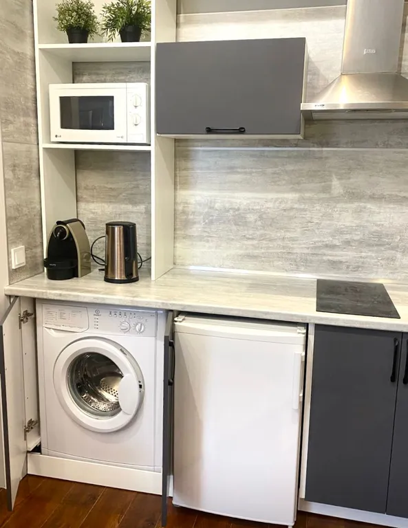 Уютные 2-х комнатные апартаменты в Тихом Центре Новосибирска