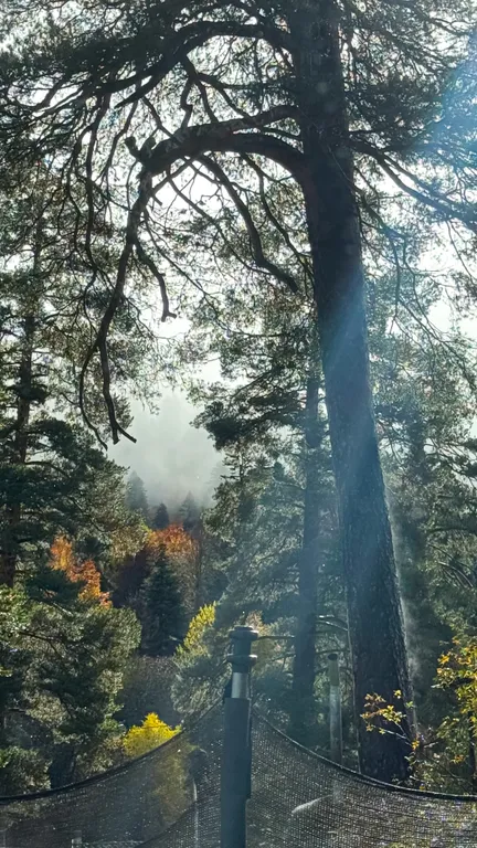 Шале с видом на горы