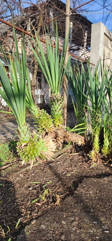 Четырехместный номер с удобствами на Приморской