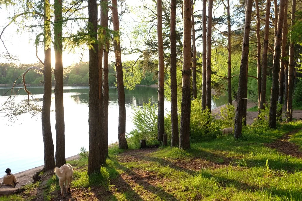 Эко отель Смородина