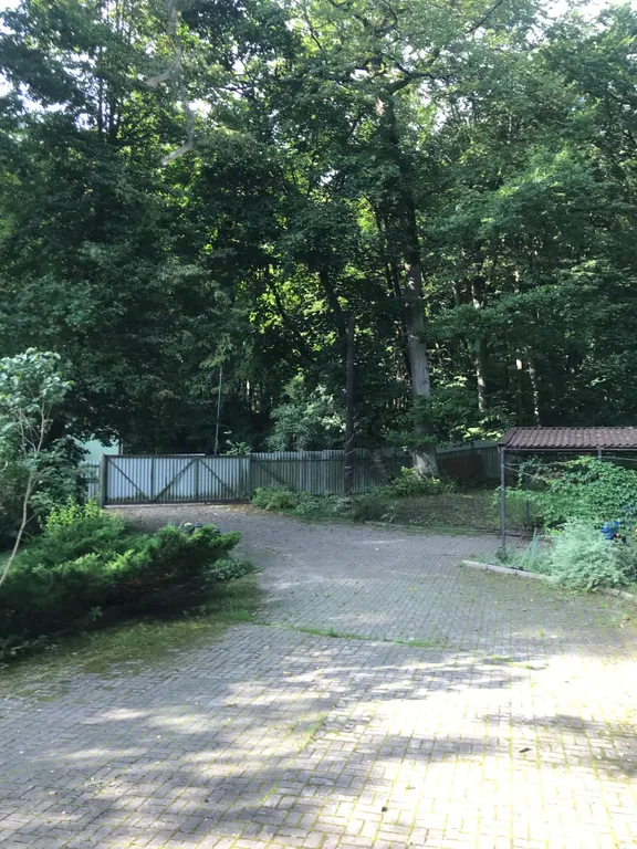 Лесная резиденция