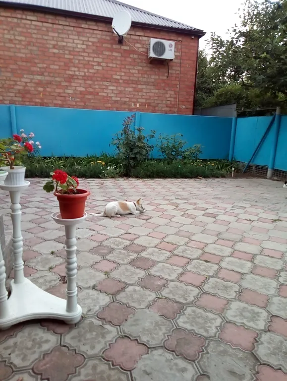 Комнаты в частном секторе, рядом с морем