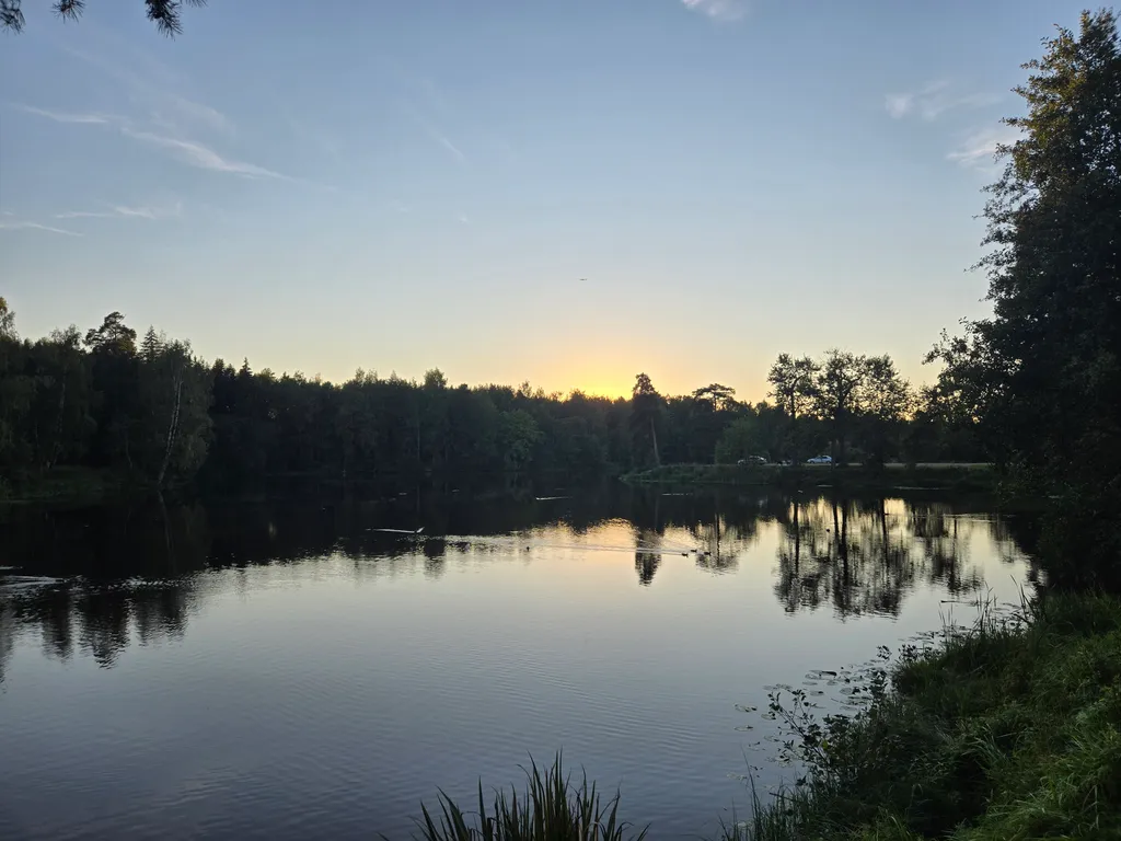 Квартира Новая квартира-студия с панорамным видом на лес — Ломоносов