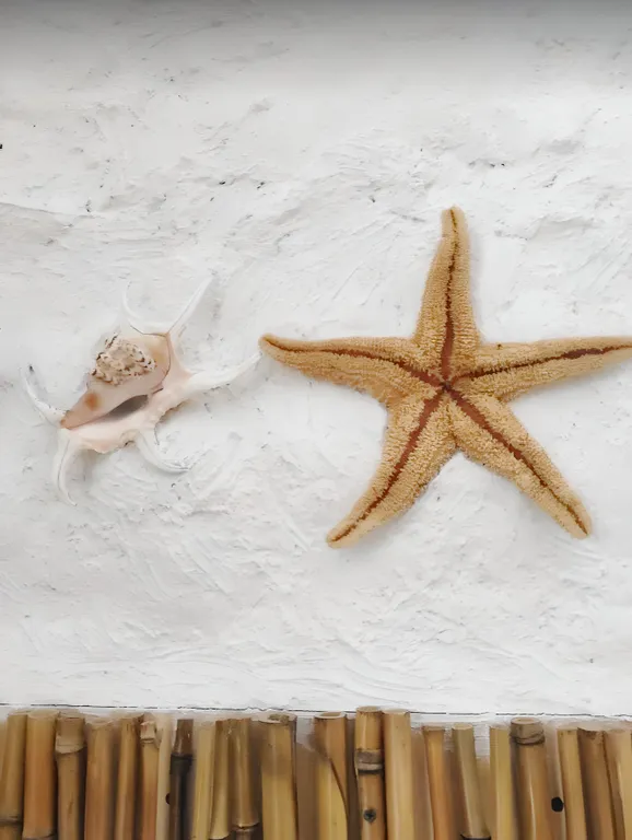 Дом Тропик у озера Увильды