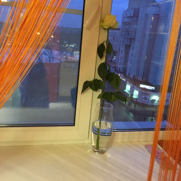 1комнатная квартира