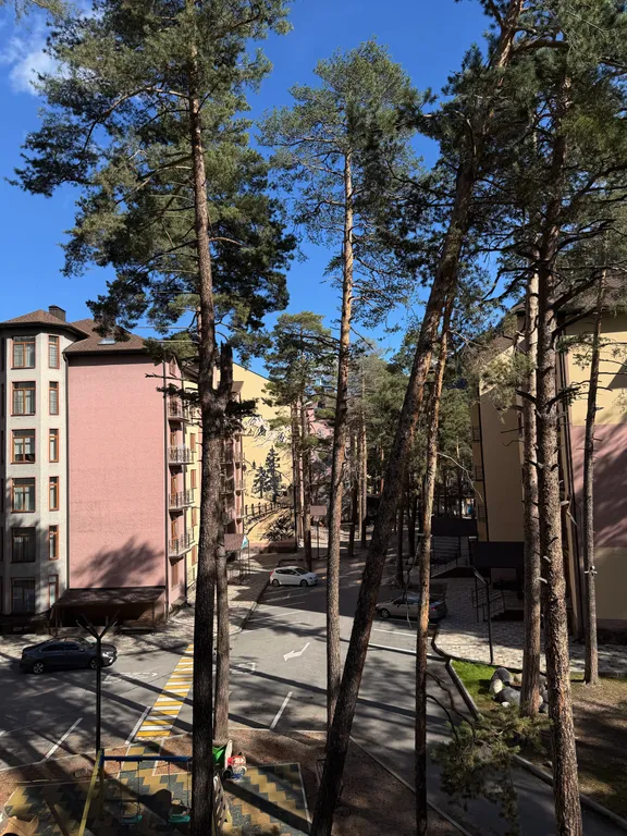 Отличный отдых в лучшем месте