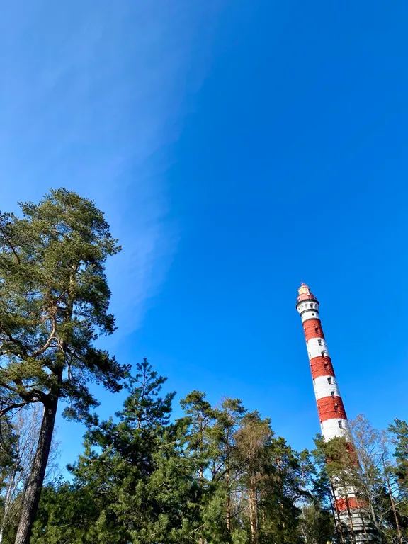 Коттедж Уютный новый скандинавский дом на берегу Ладожского озера — Коккорево