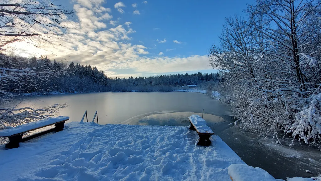 Коттедж Васнецово-озеро, дом на берегу озера у леса в Подоосковье — Ваньково
