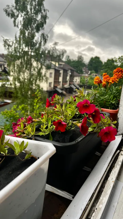 Квартира у главных туристических маршрутов