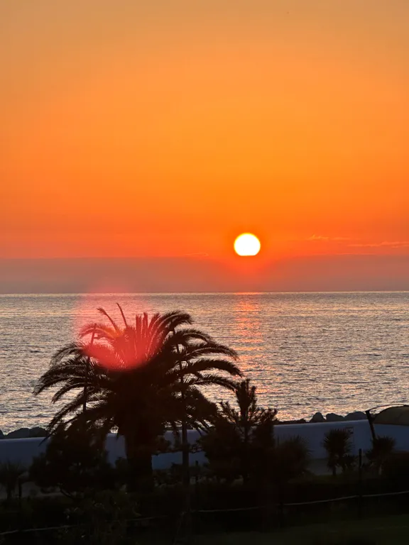 Квартира Квартира Студия с террасой, новый ремонт, 7 минут до моря — Сириус