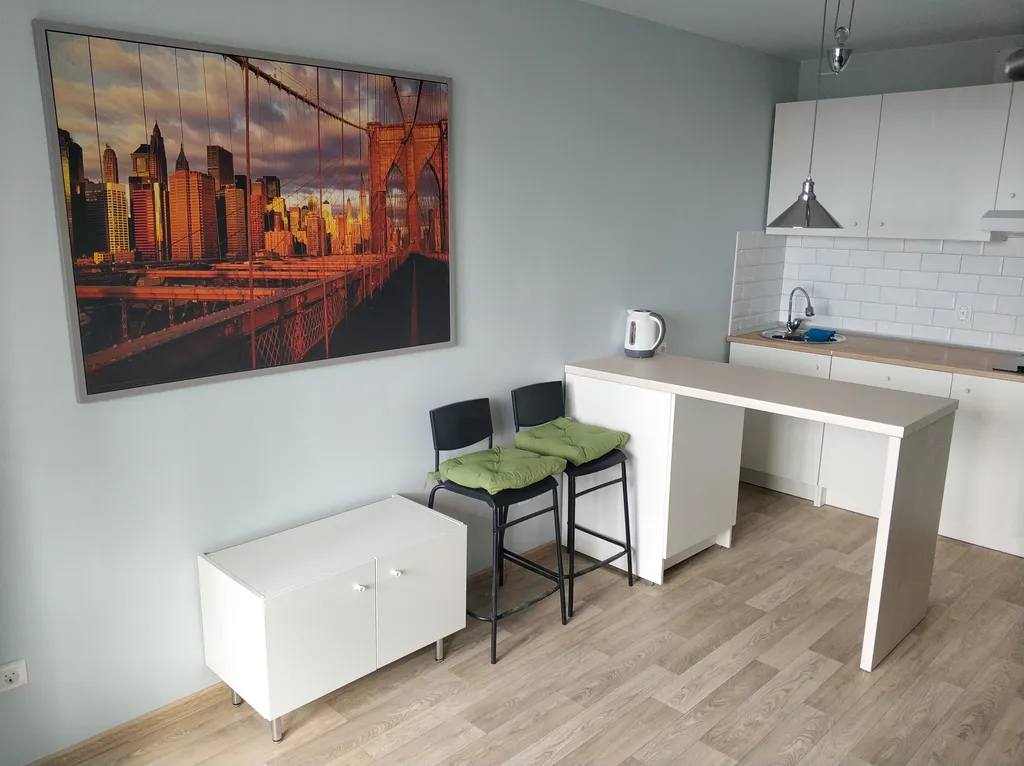 Замечательная квартира у Невы