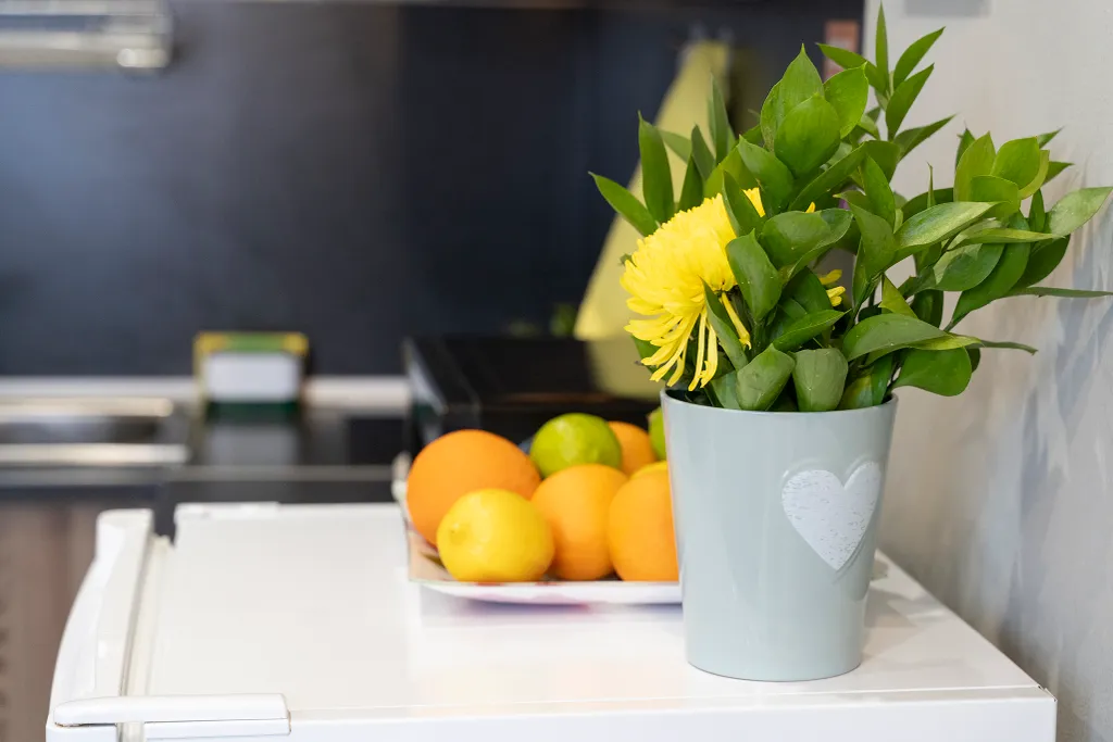 Студия Горчица