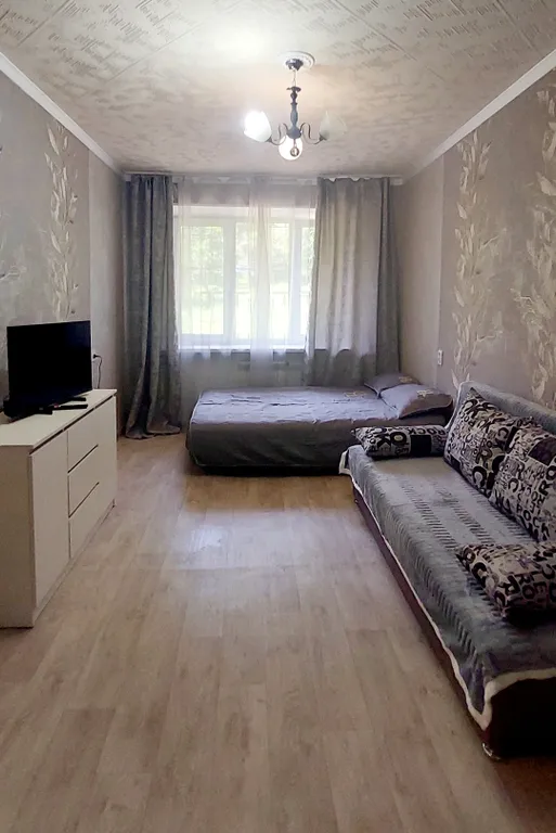 Хорошая однокомнатная квартира с двумя диванами — аренда посуточно в Находка